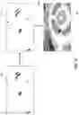 Fig. 13 - Extracting motion saliency features from video using a neurosynaptic system