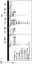 Fig. 07 - Data analyzing device and data analyzing method