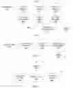 Fig. 04 - Parametric top-view representation of scenes