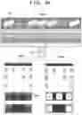 Fig. 25 - Inkjet printing apparatus and control method therefor