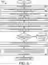 Fig. 07 - Systems and methods for providing a security tag with synchronized display