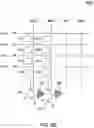 Fig. 09 - Aggregate adjustments in a cross bar neural network
