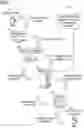 Fig. 02 - Systems and methods for identifying suspect illicit merchants