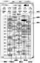 Fig. 01 - Method of buying or selling items and a user interface to facilitate the same