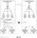 Fig. 05 - Social Media Platform Enabling Multiple Social Media Aliases