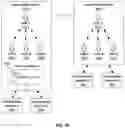 Fig. 07 - Social Media Platform Enabling Multiple Social Media Aliases