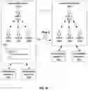 Fig. 08 - Social Media Platform Enabling Multiple Social Media Aliases
