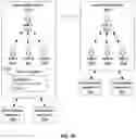 Fig. 11 - Social Media Platform Enabling Multiple Social Media Aliases