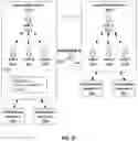 Fig. 12 - Social Media Platform Enabling Multiple Social Media Aliases