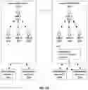 Fig. 13 - Social Media Platform Enabling Multiple Social Media Aliases