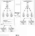 Fig. 17 - Social Media Platform Enabling Multiple Social Media Aliases