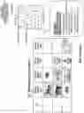Fig. 32 - Systems and methods for developing, monitoring, and enforcing agreements, understandings, and/or contracts