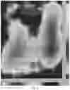 Fig. 07 - Detecting conflicts between multiple different signals within imagery