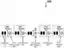 Fig. 01 - Graphic processor unit topology-aware all-reduce operation