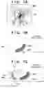Fig. 08 - IMAGE PROCESSING APPARATUS, IMAGE PROCESSING METHOD, AND STORAGE MEDIUM