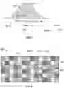 Fig. 04 - Firefly detection using a plurality of buffers