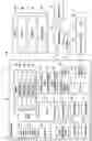 Fig. 02 - Method and apparatus for incorporating noise pattern into image on which bokeh processing has been performed
