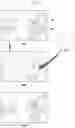 Fig. 10 - Method and apparatus for incorporating noise pattern into image on which bokeh processing has been performed