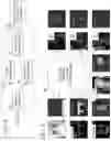Fig. 04 - Anatomical segmentation identifying modes and viewpoints with deep learning across modalities