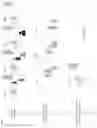 Fig. 08 - Systems and methods for motion correction in synthetic images