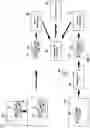 Fig. 09 - Decoupled motion models for object tracking