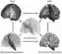 Fig. 01 - Joint estimation with space-time entropy regularization