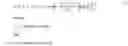 Fig. 03 - 2D/3D registration for abdominal aortic aneurysm intervention