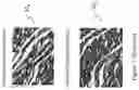 Fig. 02 - Method and system for detecting an anomaly within a biological tissue