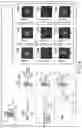 Fig. 04 - Image processing apparatus, ranging apparatus and processing apparatus