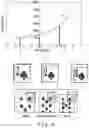 Fig. 12 - Image processing apparatus, ranging apparatus and processing apparatus