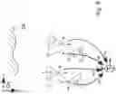 Fig. 10 - Method and system for determining spatial coordinates of a 3D reconstruction of at least part of a real object at absolute spatial scale