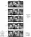 Fig. 01 - Automatic creation of a group shot image from a short video clip using intelligent select and merge