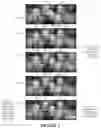 Fig. 03 - Automatic creation of a group shot image from a short video clip using intelligent select and merge