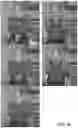Fig. 09 - Control system for virtual characters