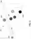 Fig. 04 - Systems and methods for rendering reflections