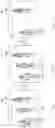 Fig. 20 - Information processing device and information processing method capable of deciding objects arranged in virtual space generated based on real space