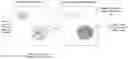 Fig. 01 - Time-warping adjustment based on depth information in a virtual/augmented reality system