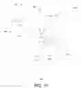 Fig. 15 - Systems and methods for authenticated blockchain data distribution
