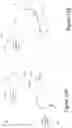 Fig. 13 - Double-Randomisation for Prize Determination