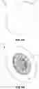 Fig. 07 - Smart home device providing intuitive illumination-based status signaling