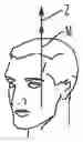 Fig. 01 - Head positioner for retinal surgery patients