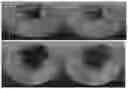 Fig. 01 - Multisensory wound simulation