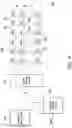 Fig. 05 - DRIVING METHOD OF DISPLAY APPARATUS