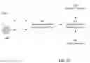 Fig. 11 - Methods and systems for speech signal processing