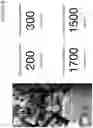 Fig. 17 - Multi-sensor event correlation system