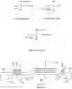 Fig. 04 - One time programmable (OTP) bit cell with integrated inhibit device