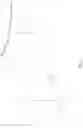 Fig. 06 - POLYNUCLEOTIDE PROBE DESIGN