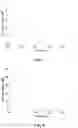 Fig. 08 - POLYNUCLEOTIDE PROBE DESIGN