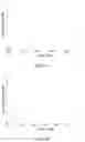 Fig. 13 - POLYNUCLEOTIDE PROBE DESIGN