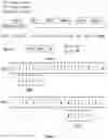 Fig. 02 - METHOD AND APPARATUS FOR THE COMPACT REPRESENTATION OF BIOINFORMATICS DATA USING MULTIPLE GENOMIC DESCRIPTORS